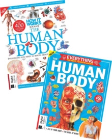 Human Body Bundle