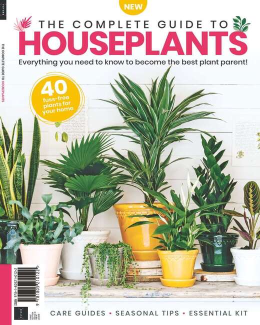 Complete Guide to Houseplants