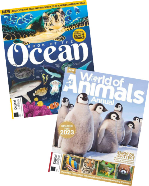 Animals of the World Bundle